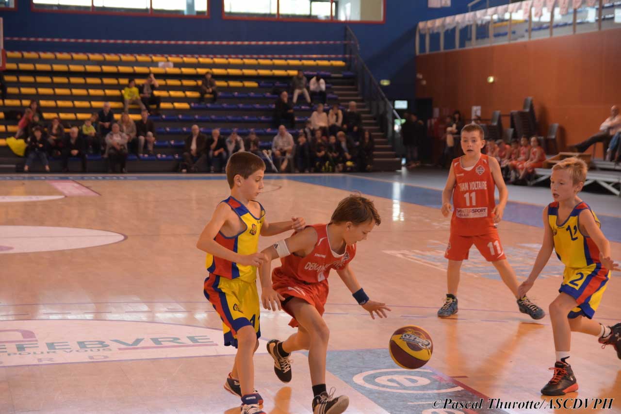 poussins-1_denain-cysoing_1